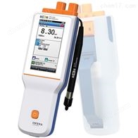 JPBJ-610L便携式荧光法溶解氧检测仪触屏电池数据存储