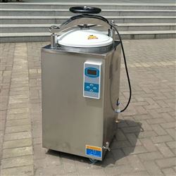 实验室高压锅 LS-100HD不锈钢消毒锅