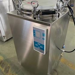 LS-100LD消毒灭菌锅 高压蒸汽消毒锅