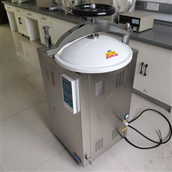 不锈钢高温灭菌锅 LS-100HG内循环灭菌器